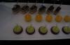 Chef s Petit Fours Selection